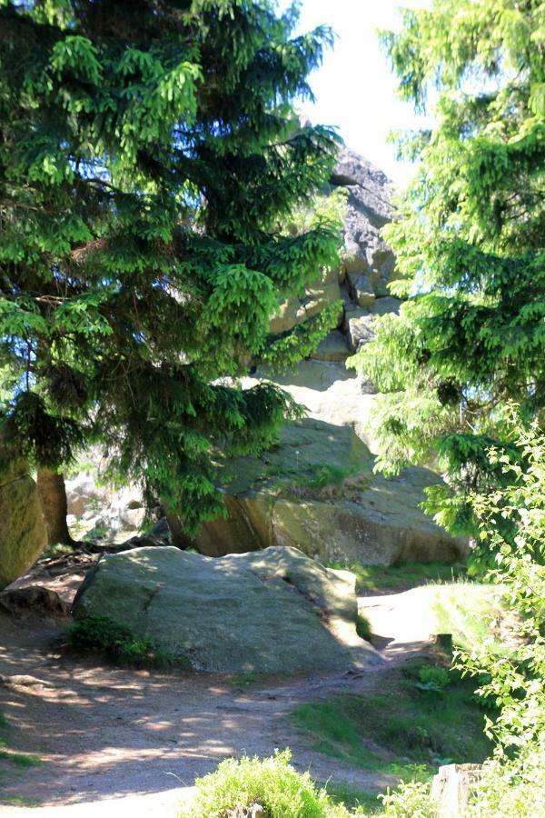 An Der Bremke Lägenhet Herzberg am Harz Exteriör bild
